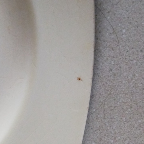 Coronet Ware Art Deco Single 9.5" Square Plate - Picture 6 of 8